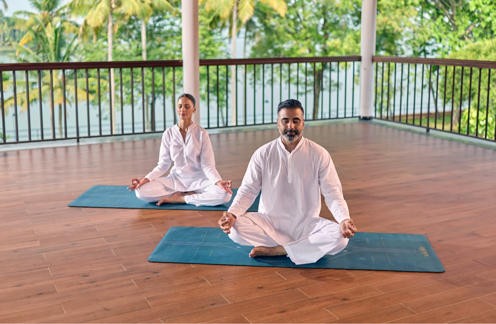 Ayurveda